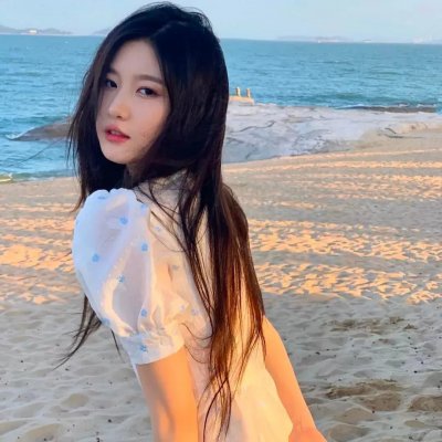 战地情莺