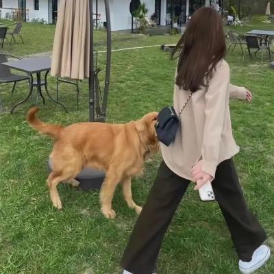 逐爱